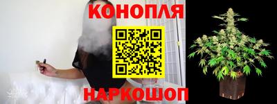мдпв Можга