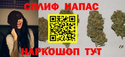 мдпв Можга