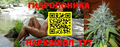 сатива Можайск