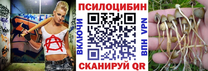 Галлюциногенные грибы Psilocybine cubensis  Верхняя Пышма 