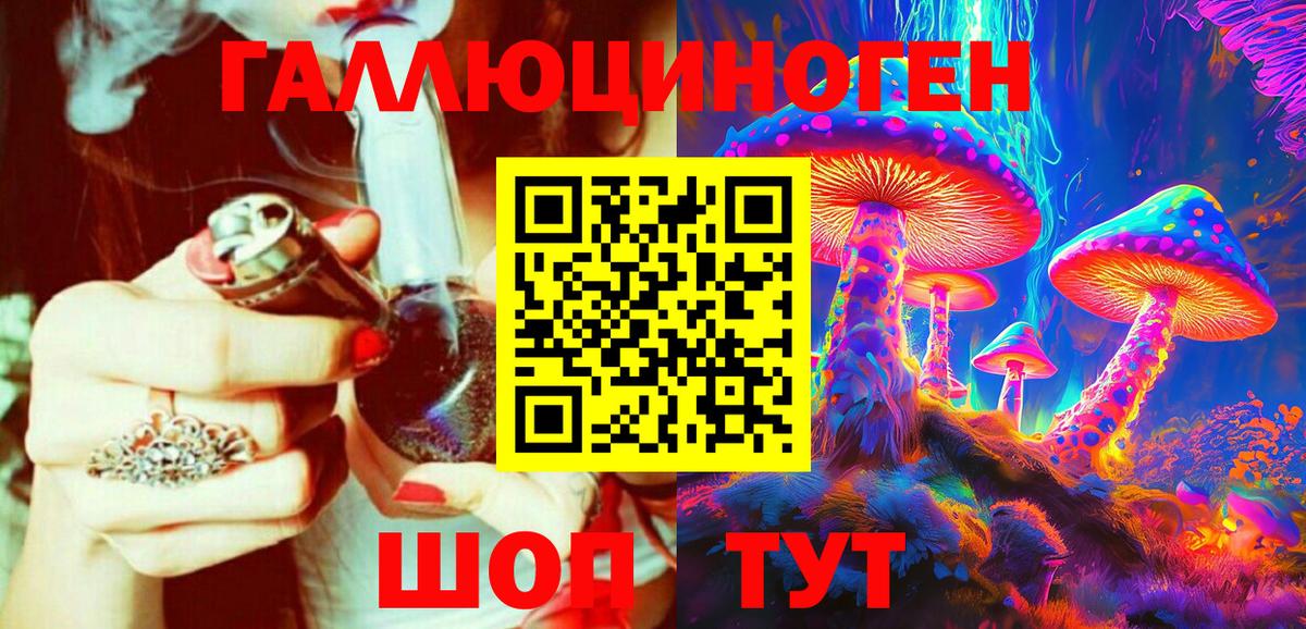 Псилоцибиновые грибы Psilocybe Верхняя Пышма