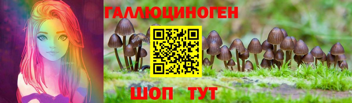 Псилоцибиновые грибы Psilocybine cubensis  Вход с VPN  Псилоцибиновые грибы Psilocybe  Верхняя Пышма 
